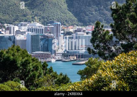 Wellington CBD from Mount Victoria, North island, New Zealand Stock Photo