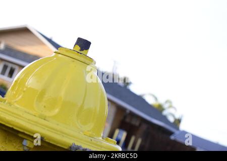 yellow fire hydrant on curb Stock Photo