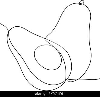 Avocado continuous line drawing vector illustration Stock Vector