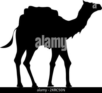 camel walking silhouette style icon Stock Vector