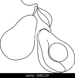 Two avocados with leaf continuous line drawing vector illustration Stock Vector