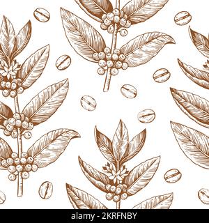Coffee branches and beans. Seamless pattern in engraving vintage style. Vector drawing Stock Vector