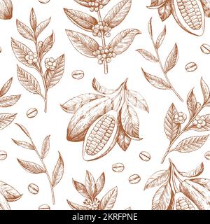 Cocoa beans, tea and coffee branches. Seamless pattern in engraving vintage antique style. Vector drawing Stock Vector