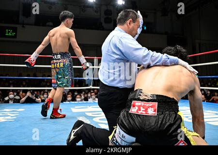 Tokyo, Japan. 17th Nov, 2022. Shu Utsuki (black gloves) knocks out