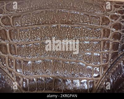 sneak skin or python skin brown texture background. Stock Photo