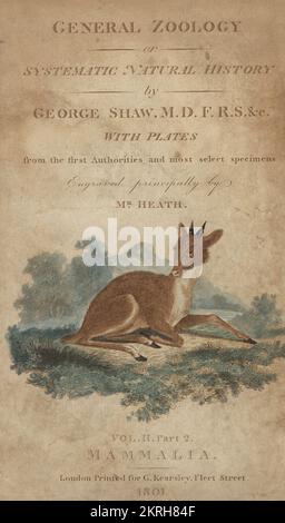 Title page with vignette of a deer fawn by Dr. George Shaw engraved by James Heath. Handcoloured copperplate engraving by James Heath from George Shaw’s General Zoology: Mammalia, Thomas Davison, London, 1801. Stock Photo