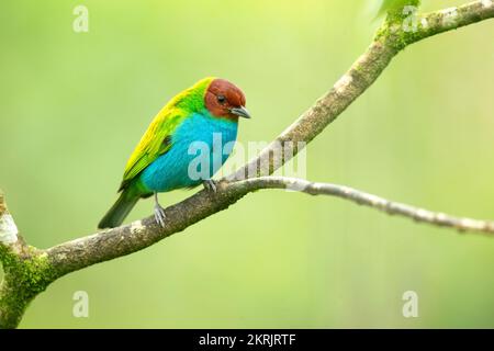 Sahna ortida ayollar jinsiy aloqa