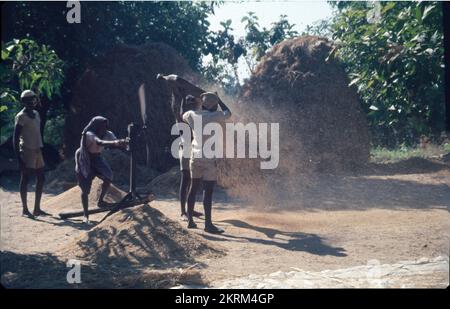 The process of removal of husk from the cotyledons is called dehusking ...