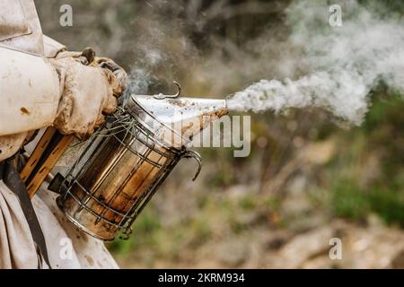 Side view of cropped unrecognizable male beekeeper in protective costume working in apiary with bee smoke transmitter in daytime Stock Photo