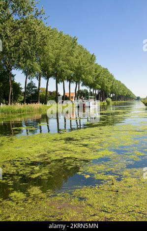 Canal from Damme to Bruges, Flemish Region, Belgium Stock Photo