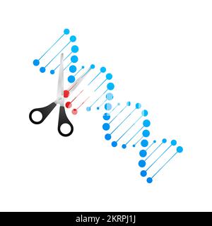 Genetic engineering. Gene editing tool CRISPR CAS9. Vector illustration ...