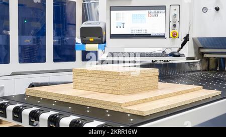 Workshop for the production of particle boards,  manufacture of chipboard, veneer, plywood, wood panels. Wood processing. Woodworking industry concept Stock Photo
