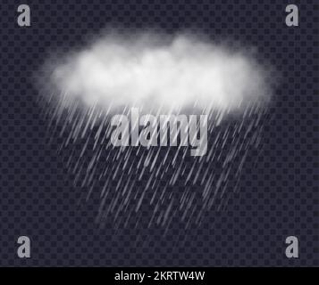 Rainy cloud isolated on transparent background. Realistic storm cloud with rain. Stock Vector