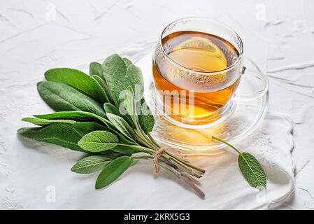Sage tea cup and sage leaves on white table close up Stock Photo
