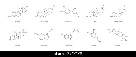 Different hormons icons set. Estradiol, progesterone, testosterone, adrenaline, DHEA, cortizol, dopamine, serotonin, melatonin, thyroxine chemical molecular structure. Vector outline illustration Stock Vector