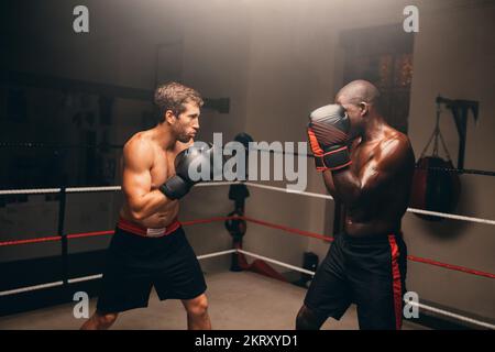 Two boxers standing in fighting position inside a boxing ring. Two athletic young men having a boxing match in a fitness gym. Stock Photo