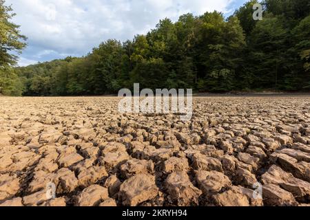 Dry riverbed with cracked mud in hot summer Stock Photo