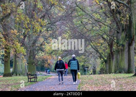 People on there morning walk in Abington Park  on the Avenue of trees leading to the main lake. Northampton, England, UK. Stock Photo
