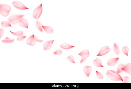 Flying sakura vector background. Pink flower petals of cherry blossom falling down or flying on the wind. Romantic floral background of realistic japanese sakura tree spring blossom flying through air Stock Vector