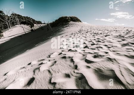 Outback Australia sand dunes under blue sky. Desert near Ocean Beach, Tasmania. Henty Dunes Stock Photo