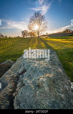 Sun setting behind tree in large field with big rock in foreground, Pennsylvania, USA Stock Photo