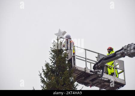 November 29, 2022, London, England, United Kingdom: Workers install the star and lights on the Christmas tree at Trafalgar Square. Christmas trees have been gifted by Norway to the British people each year since 1947. (Credit Image: © Vuk Valcic/ZUMA Press Wire) Stock Photo
