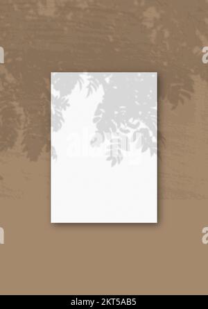 A vertical A4 sheet of white textured paper on the Brown wall background. Mockup overlay with the plant shadows. Natural light casts shadows from an R Stock Photo