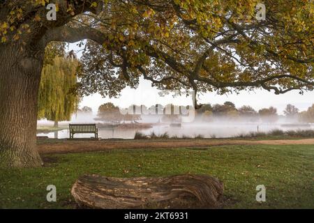 Sitting under the trees watching the mist rising from the pond Stock Photo