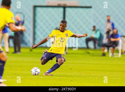 Moises Caicedo (23) of Ecuador during the FIFA World Cup 2022, Group A football match between Ecuador and Senegal on November 29, 2022 at Khalifa International Stadium in Al Rayyan, Qatar - Photo: Nigel Keene/DPPI/LiveMedia Stock Photo