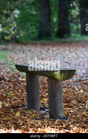Bench in Canal Walk, Kilkenny, Ireland Stock Photo