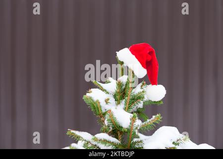 red santa hat on christmas tree with snow. hat hanging on winter fir tree covered with snow on brown background Stock Photo