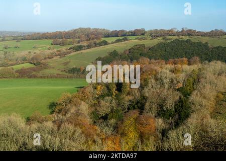 Old Winchester Hill in November, autumn landscape view of the SSSI in the South Downs National Park, Hampshire, England, UK Stock Photo
