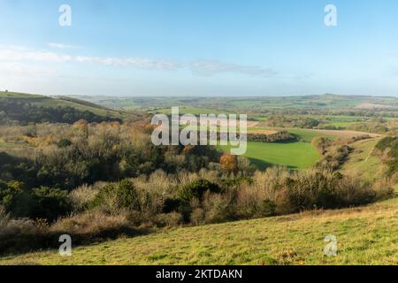 Old Winchester Hill in November, autumn landscape view of the SSSI in the South Downs National Park, Hampshire, England, UK Stock Photo