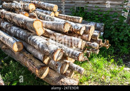 Stacked timber at the countryside in sunny day. Preparing firewood for the winter Stock Photo