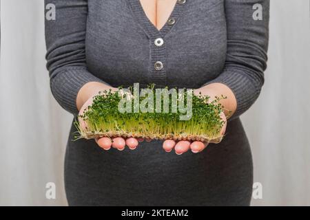 woman holding micro green sprouts in her hands Stock Photo