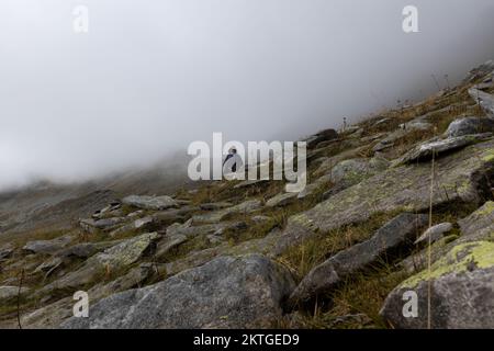 A woman in a rain cape walks along a mountain path against the backdrop of fog. Austria, Alps. High quality photo Stock Photo