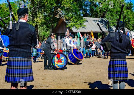 Scottish pipers play the bagpipes as they march in the parade of tartans during the Celtic Music Festival in Gulfport, Mississippi. Stock Photo