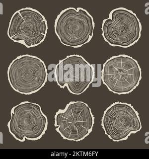 Round tree trunk cuts with cracks, sawn pine or oak slices, lumber. Saw cut timber, wood. Brown wooden texture with tree rings. Hand drawn sketch Stock Vector