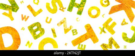 Chaotic flying letters from the autumn leaves, isolated on white background, closeup Stock Photo