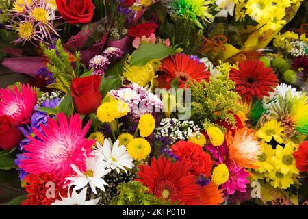 Red Gerebra, white Bellis perennis - Daisy and other assorted freshly cut flowers for sale at outdoor market in spring. Stock Photo