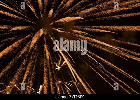 Gold fireworks against a black sky background at night. Stock Photo