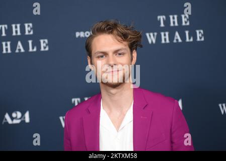 New York, USA. 29th Nov, 2022. Ty Simpkins attends 'The Whale' premiere at Alice Tully Hall in New York, NY, on November 29, 2022. (Photo by Efren Landaos/Sipa USA) Credit: Sipa USA/Alamy Live News Stock Photo