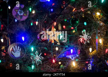 Washington, Vereinigte Staaten. 29th Nov, 2022. Ornaments hang from the red spruce tree during the lighting of the Capitol Christmas Tree at the US Capitol in Washington, DC, Tuesday, November 29, 2022. Credit: Rod Lamkey/CNP/dpa/Alamy Live News Stock Photo