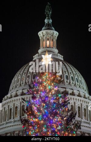 Washington, Vereinigte Staaten. 29th Nov, 2022. The Capitol Christmas Tree, a red spruce, from North Carolina, stands tall on the West Lawn of the US Capitol in Washington, DC, Tuesday, November 29, 2022. Credit: Rod Lamkey/CNP/dpa/Alamy Live News Stock Photo