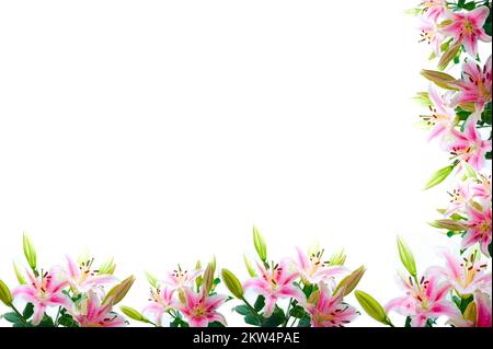 Lily flowers composition frame over white copyspace Stock Photo