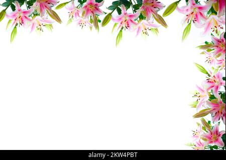 Lily flowers composition frame over white copyspace Stock Photo