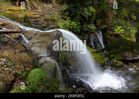 water chute at liffey falls in tasmania Stock Photo