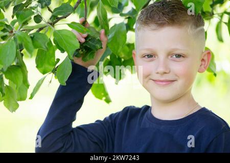 Handsome boy of ten years in the spring garden. Close-up portrait of a child with green tree branches. Stock Photo