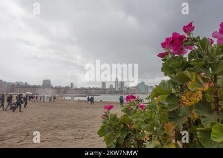 Beaches in Mar del Plata  City skyline Stock Photo