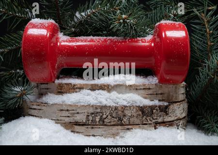 Gym dumbbell on wood slices, Christmas tree branches on snow. Fitness holiday season composition. Winter workout concept, exercising in cold weather. Stock Photo